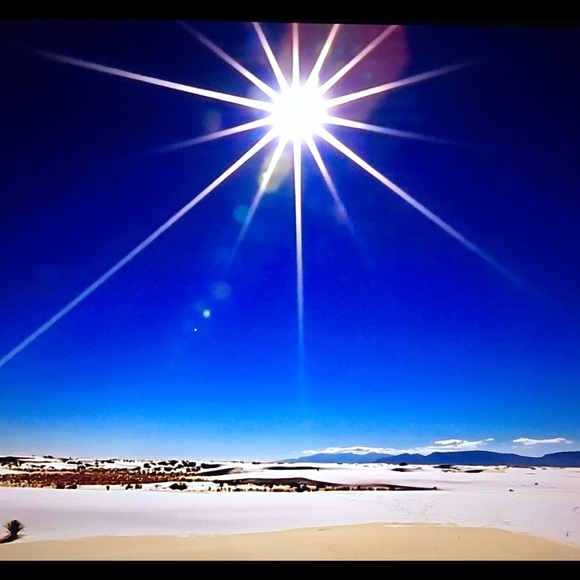 Meet your Posher, Nina - Picture 2 of 5